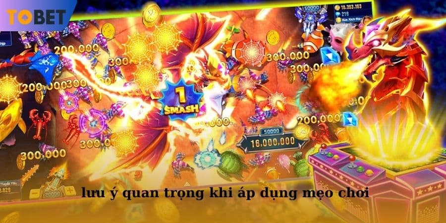 Ngư thủ cần biết một vài điểm lưu ý quan trọng khi áp dụng mẹo chơi